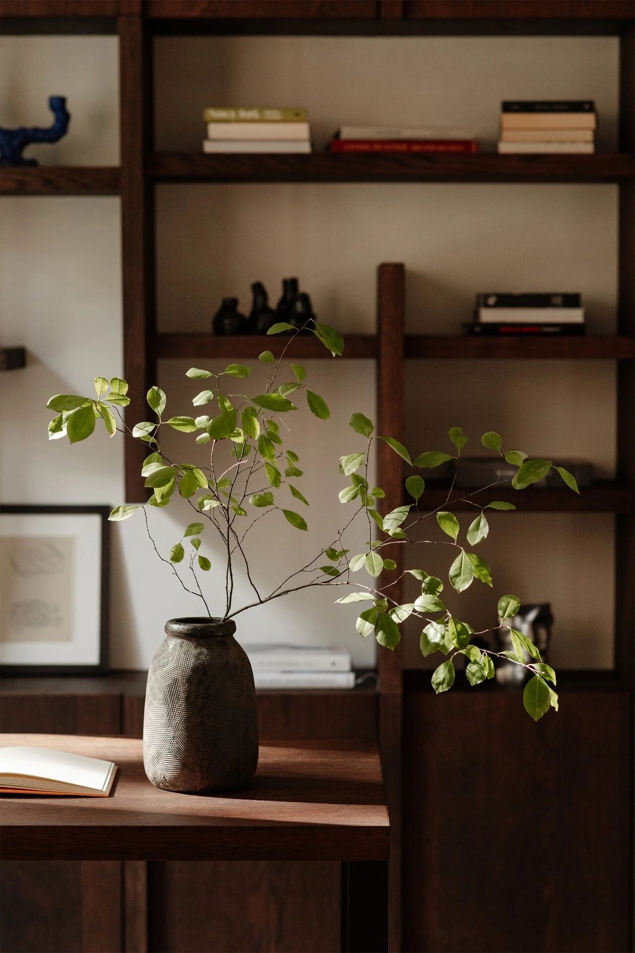 鸸鹋屋（注：EMU是鸸鹋，一种澳大利亚特有的鸟类，若这里的EMU有特殊含义，请提供更多背景信息以确保准确翻译） 丨华沙的工作室81.WAW-19