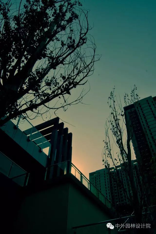 设计进行时 | 重塑景观“新世界”中外园林•沈阳新世界二期B区住宅景观设计-2