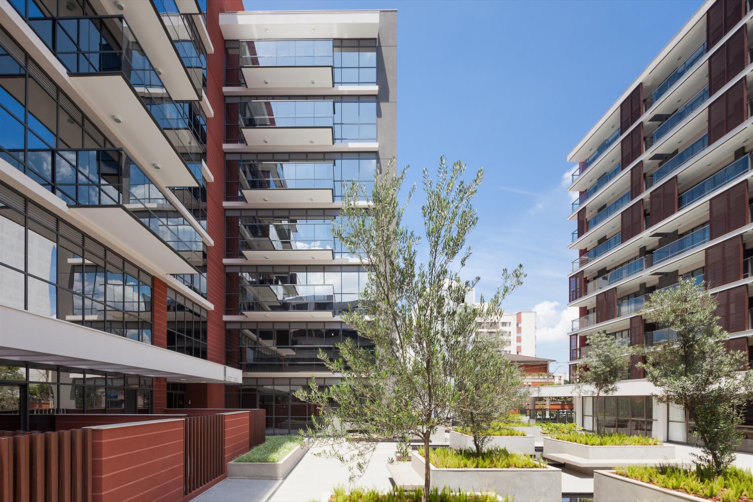 巴西 MEET 项目 | 木质与玻璃的完美结合-3