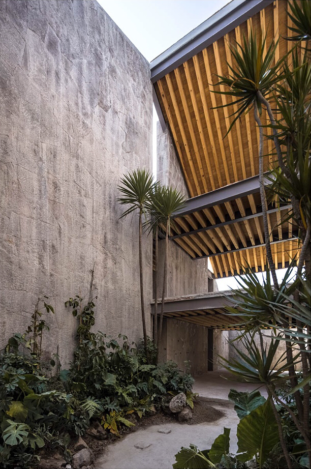 马塔莫罗斯市场丨墨西哥马塔莫罗斯丨Gabriela Carrillo-68