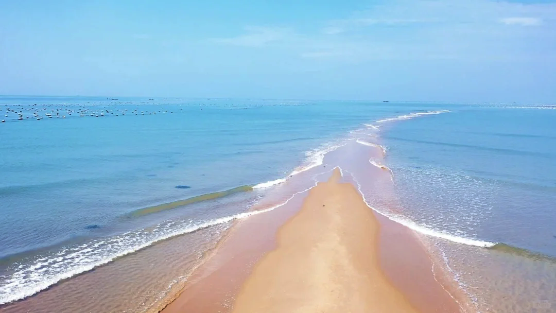 悦来福东山海鲜塘边宝龙店丨中国厦门丨巨子设计-2