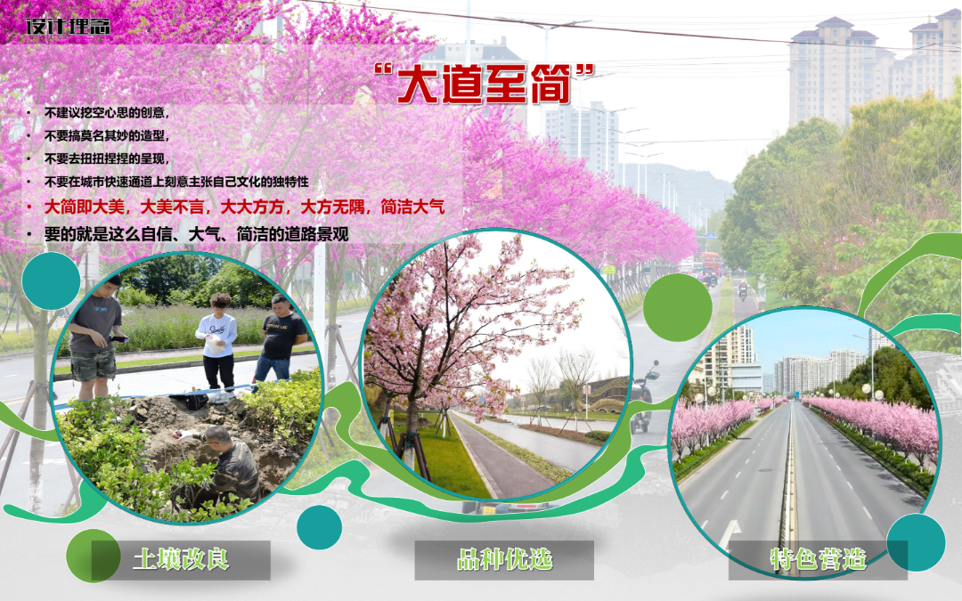 2024年度院优项目|嘉兴港区中央活力区道路景观设计实践——滨海盐碱地生态修复与城市美学融合的典范之作-36