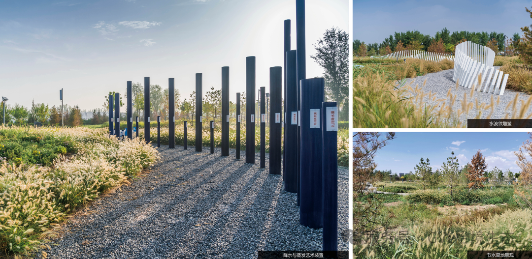 深度聚焦│银川第一再生水厂公园斩获IFLA杰出奖，包含哪些优秀设计理念？-74