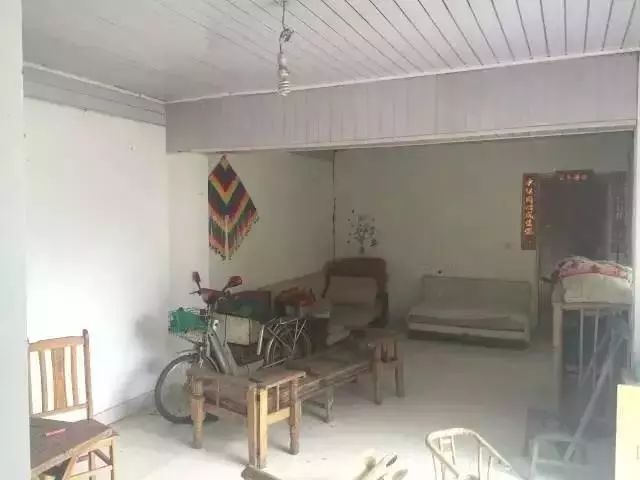 她徒手爆改废弃院子，三人一猫一狗，过着最诗意的生活！-87