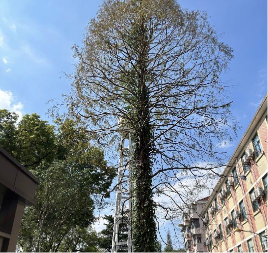 科工青年说│老建筑与新青年-41