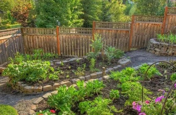 余生,一座小院,粗茶淡饭,爱人在侧-28