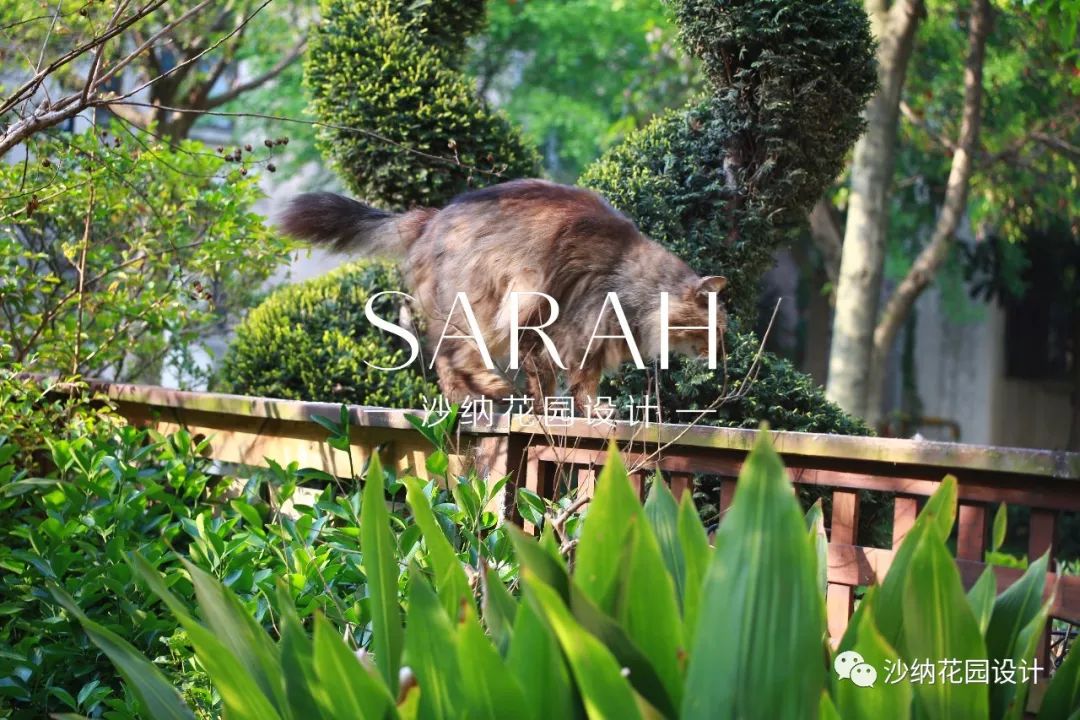 39 平米小花园实用宝典-7