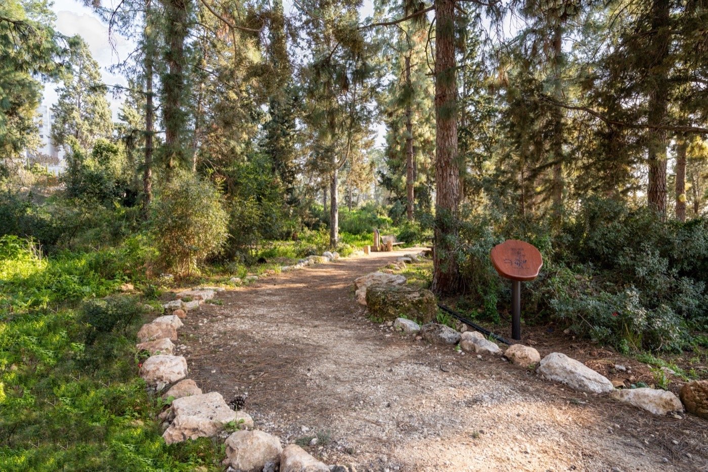 以色列哈里什森林公园-20