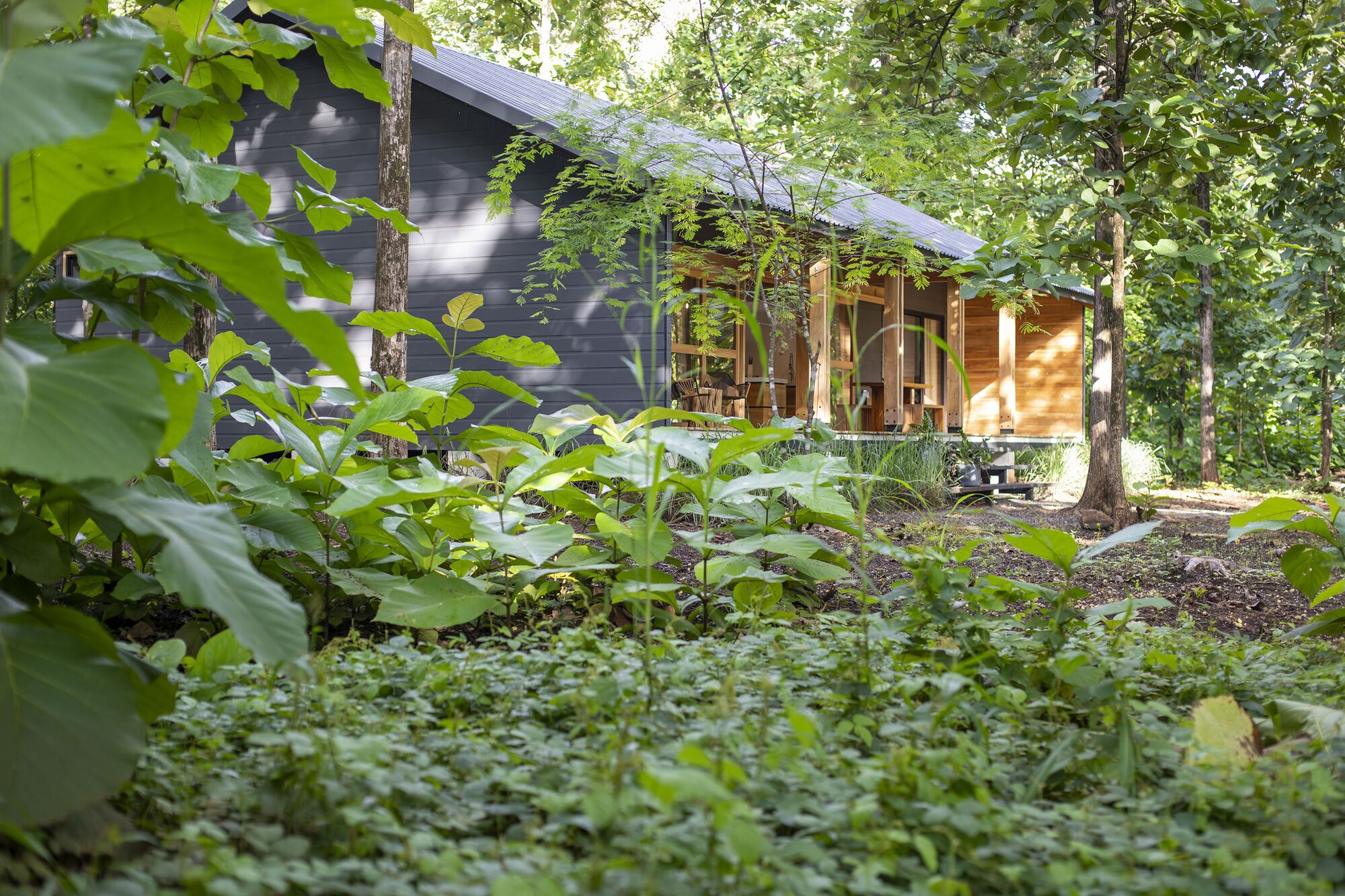 特克萨斯之家之间丨哥斯达黎加丨Aarcano Arquitectura-29