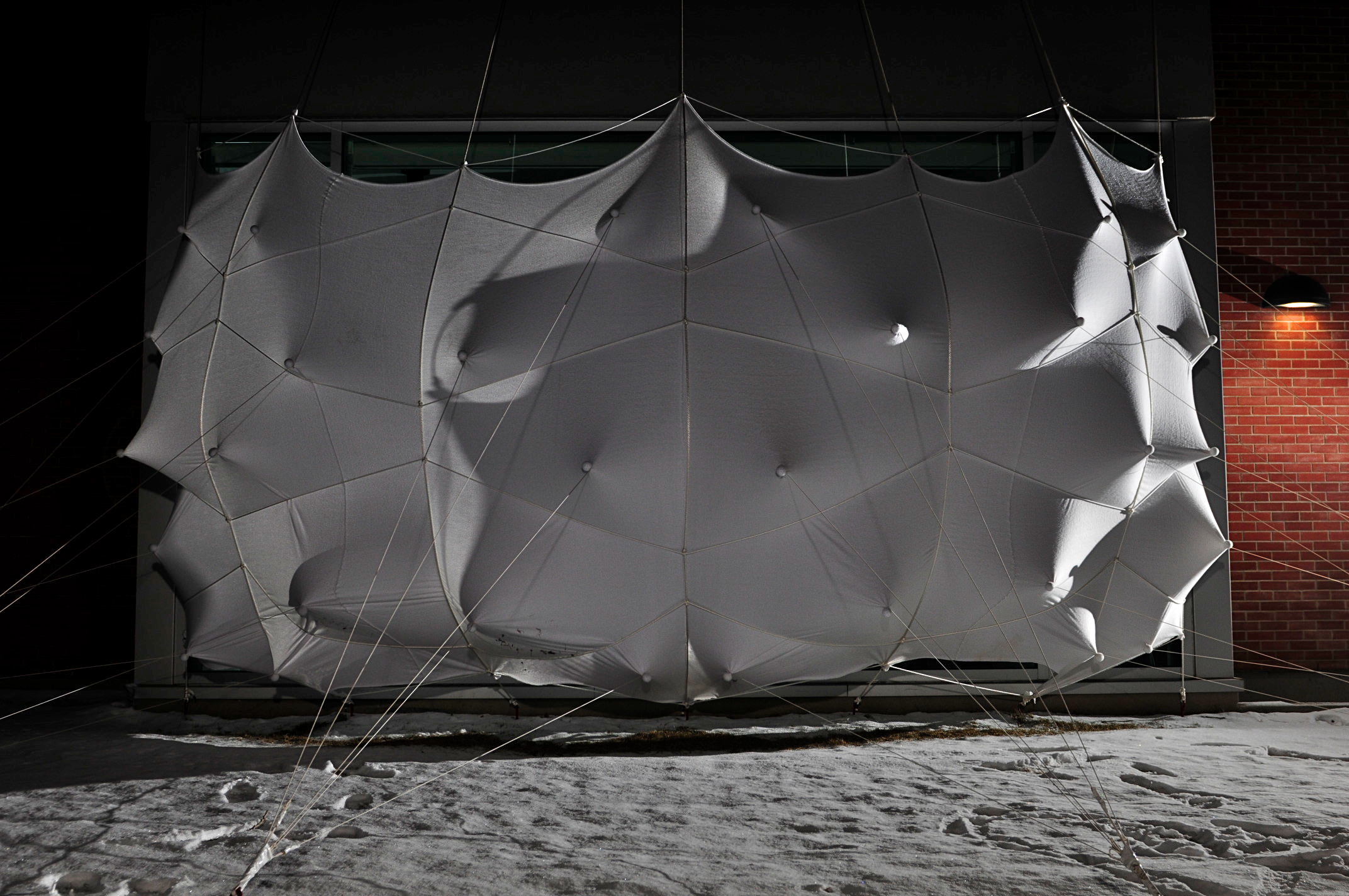 蜂群；一群（昆虫、人等）；一大群；蜂拥而至；成群移动；云集丨加拿大丨Lancelot Coar-25