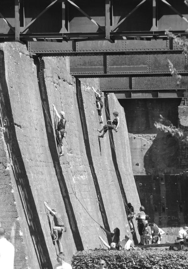 “老虎与乌龟”丨德国丨德国艺术家乌尔里希·根茨和海克·穆特-58