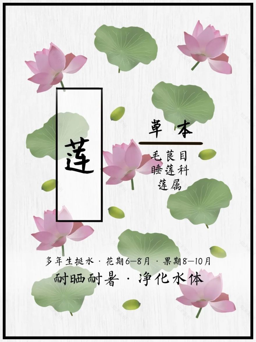 广汽丰田生态园·工业绿色风景线丨普邦设计-65