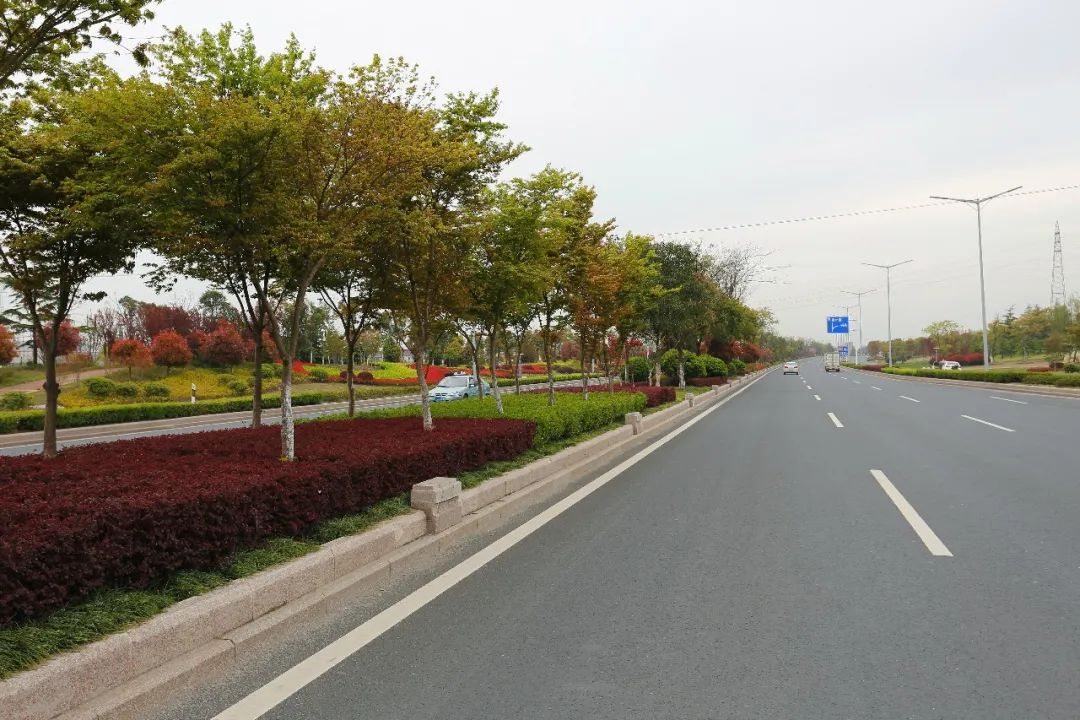 亦境那些人 | 姚素梅的绿化设计之路-23