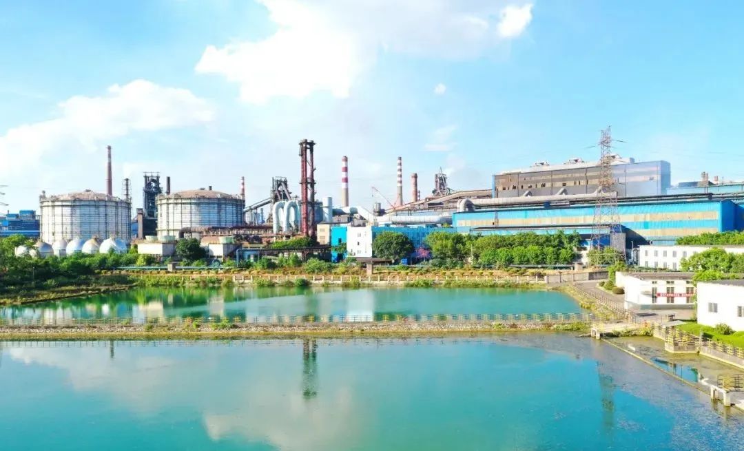 编织绿色穹顶，柳钢尘封污染史-44