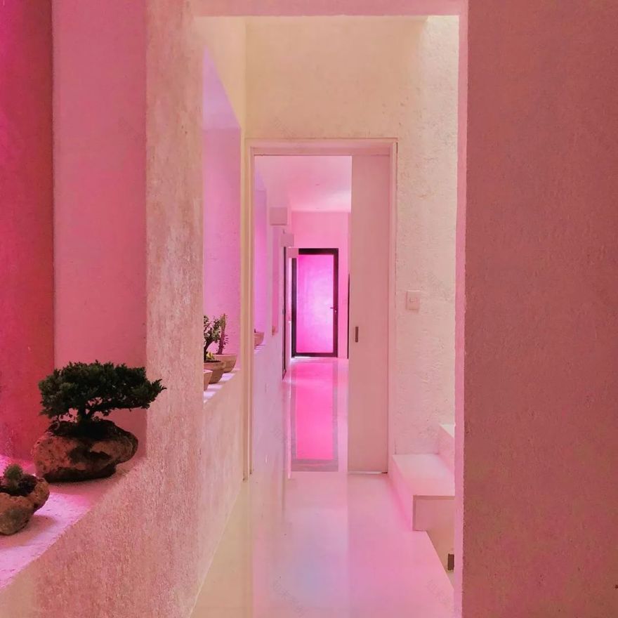 墨西哥 Guerrero 住宅 | 自然与浪漫的完美融合-23