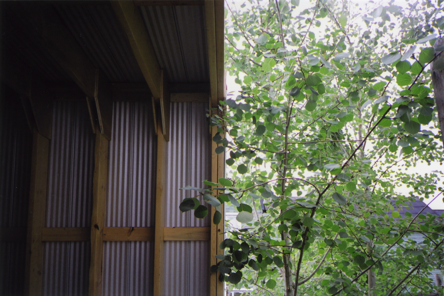 Two Sheds  Giaimo-25