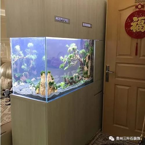 2019 年鱼缸摆放与风水禁忌指南-22