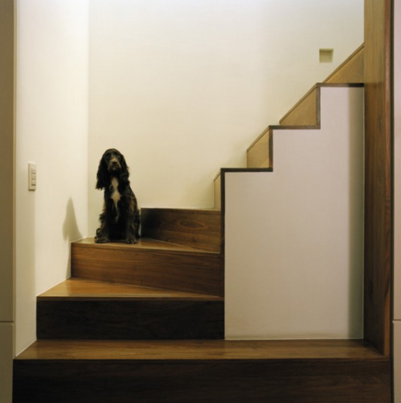 克莱肯韦尔的云（注：Clerkenwell是伦敦的一个地区，the cloud直译为云，这里不清楚具体所指的云是实际的云，还是有特定名称含义的事物，如某个建筑、场所叫云等，需结合具体语境进一步明确但按照要求只给出此翻译） 丨英国伦敦丨Boyarsky Murphy Architects-10