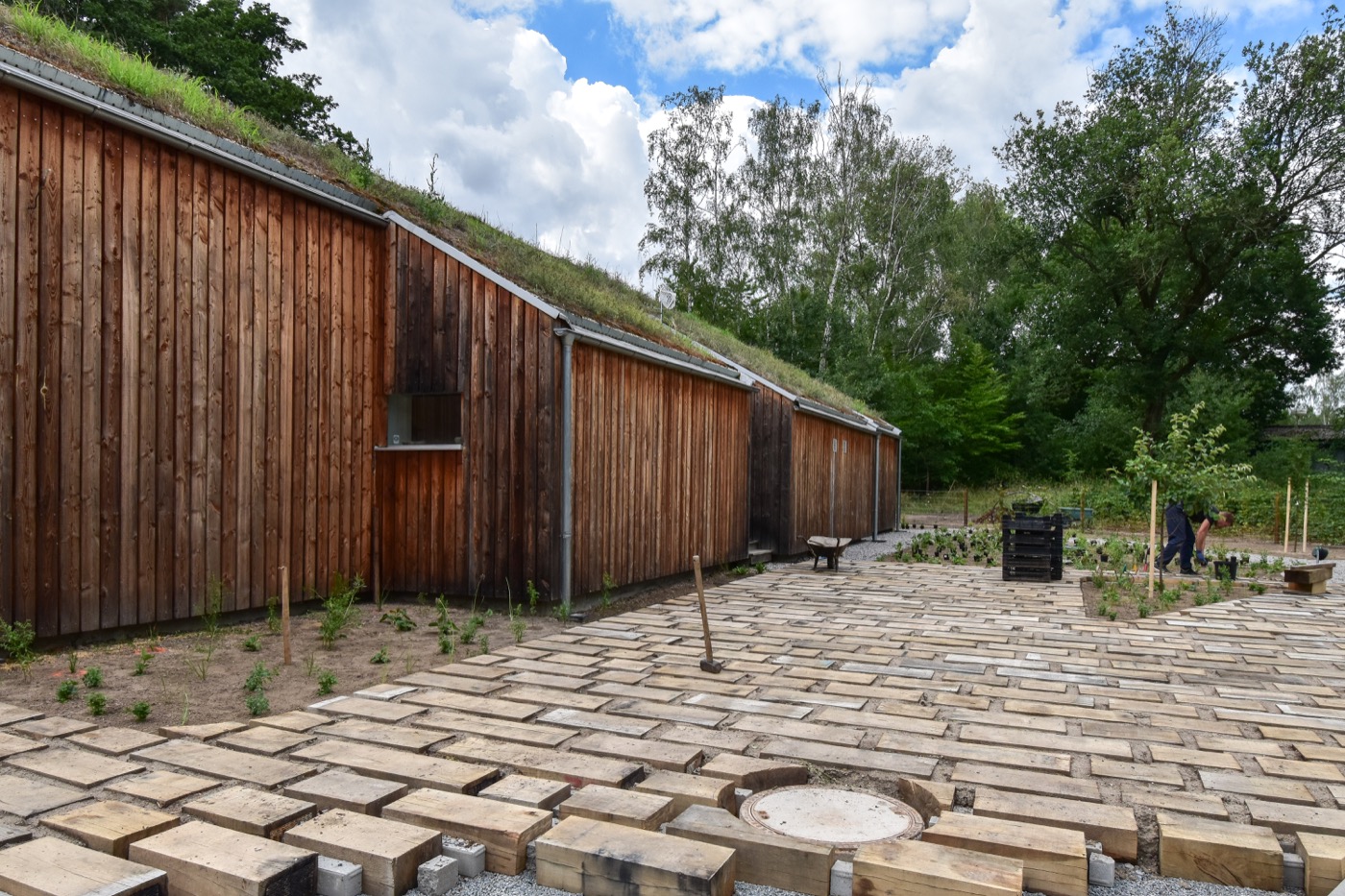 自然之境 · 现代乡村家庭花园-5