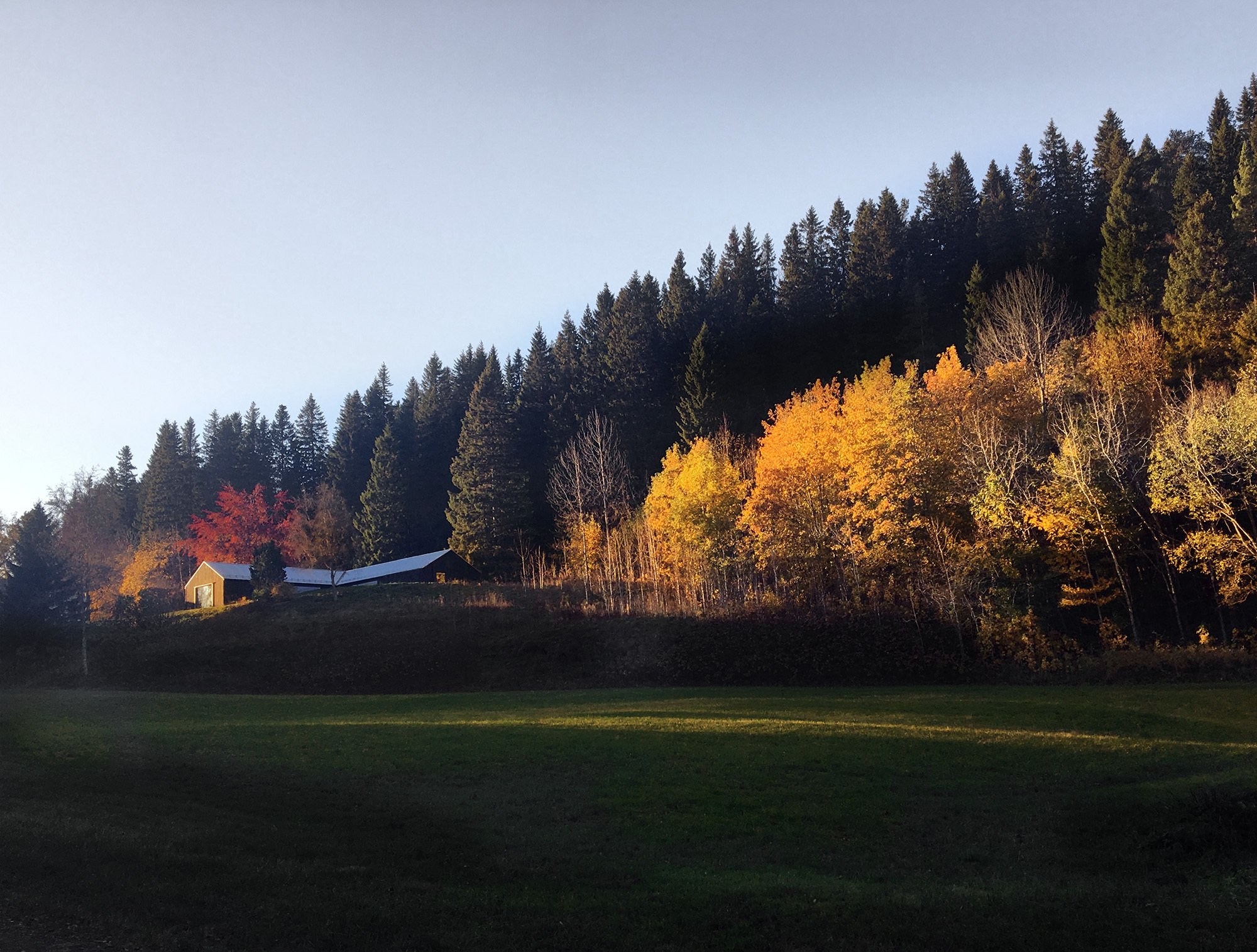 T 之家丨挪威丨Sanden+Hodnekvam Architects-19