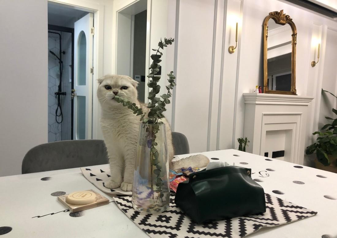 融合多种色彩的个性家居设计-32