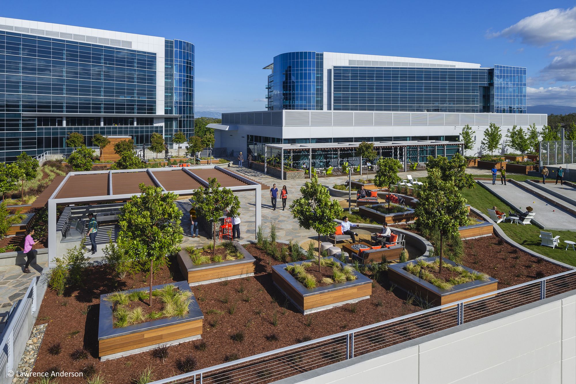 莫菲特网关俱乐部-16