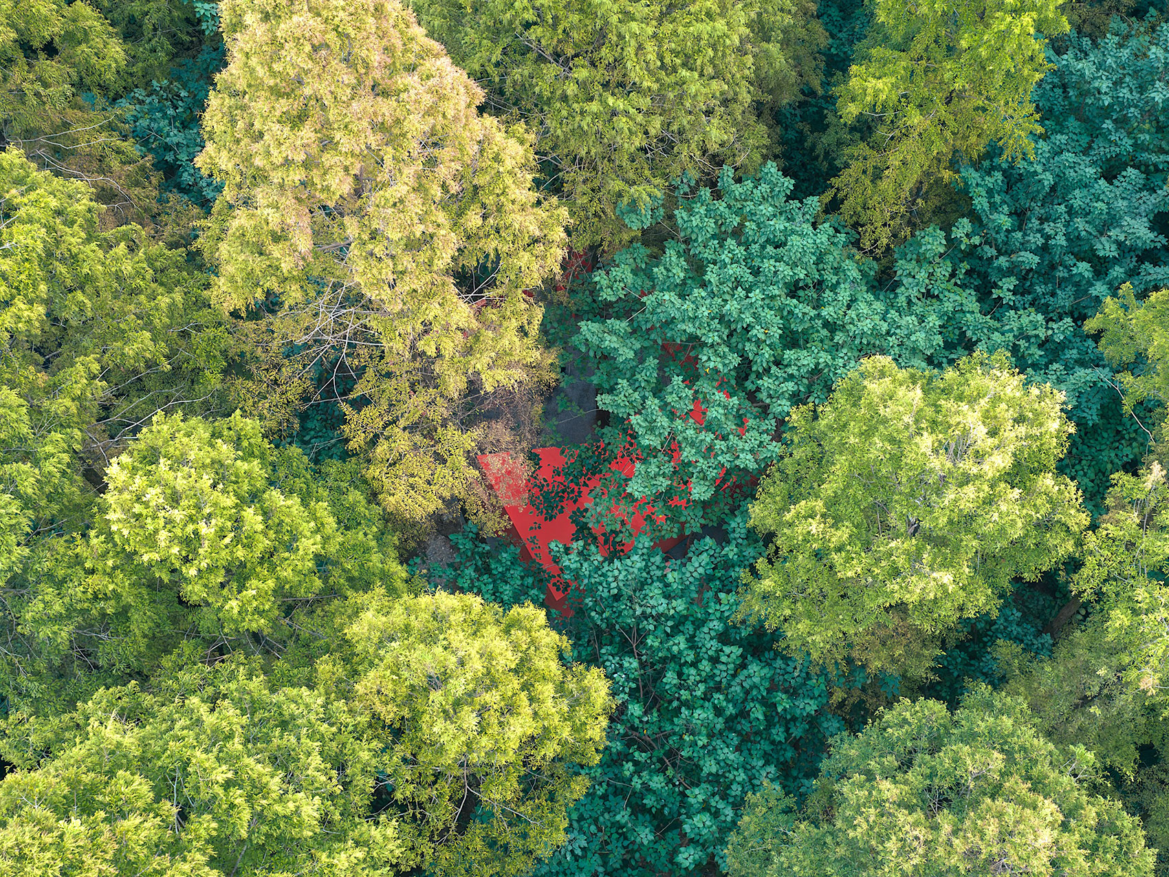 美悦达个个世界  红磨坊  [荒野之家 #137]丨中国武汉丨个个世界 + 先进建筑实验室-3