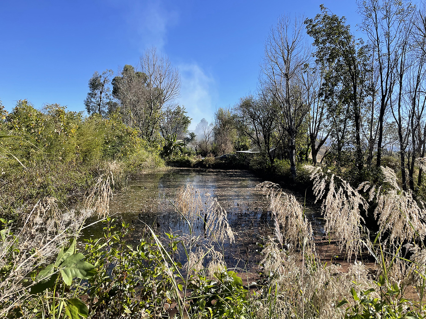 山叁夏庄园酒店与农场之家丨中国大理丨ArCONNECT之间建筑事务所-19