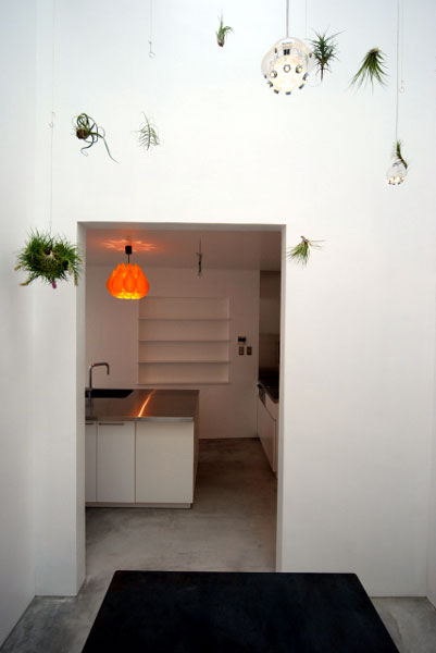 nanou #051 COGITE住宅丨日本千叶丨有限会社COGITE-29