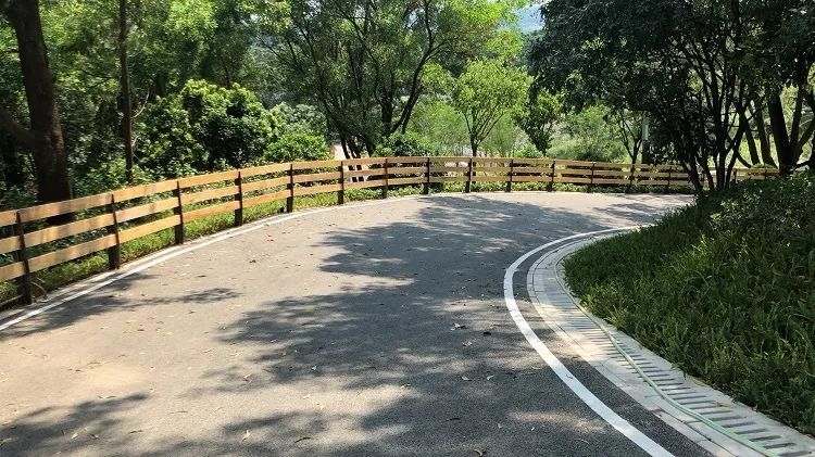 深圳最美绿道丨森林悦跑等你来-73