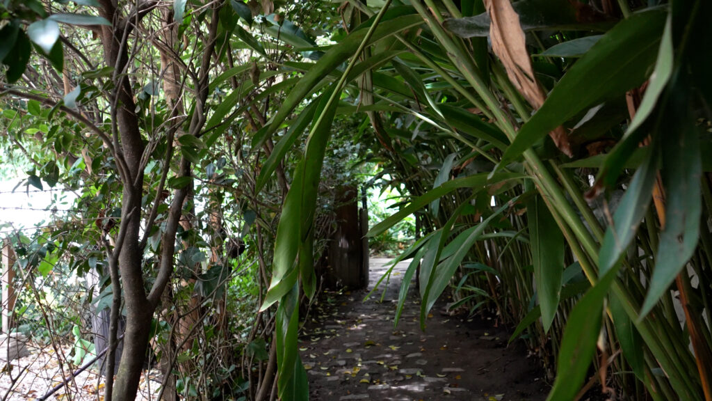 适应家庭需求的花园景观项目丨阿根廷布宜诺斯艾利斯-16