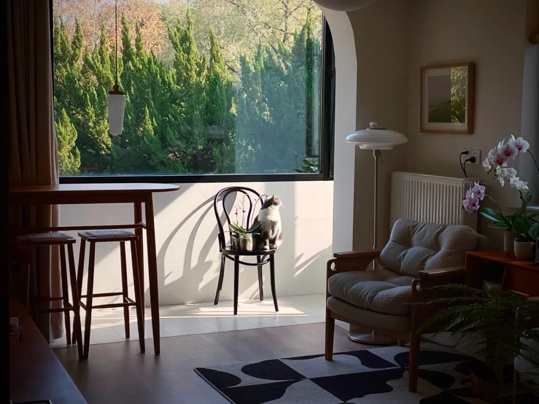 森林小屋 · 上海55平老房子变身诗意空间丨中国上海丨屋主琪琪-18