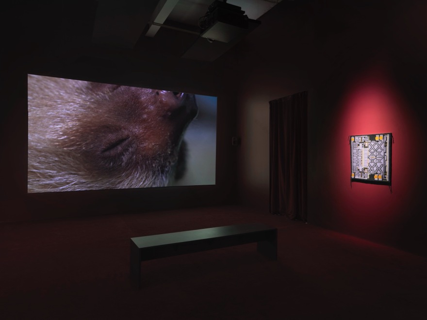 新当代艺术博物馆扩建丨美国曼哈顿丨OMA纽约,Cooper Robertson(现Corgan)-281