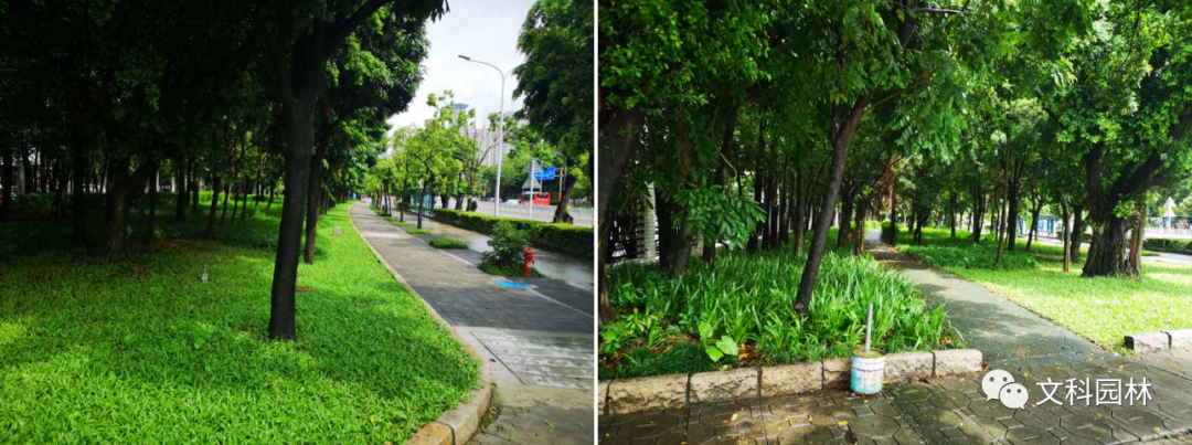 深圳福田花漾街区及街心花园 | 创新景观设计,重构城市空间-24