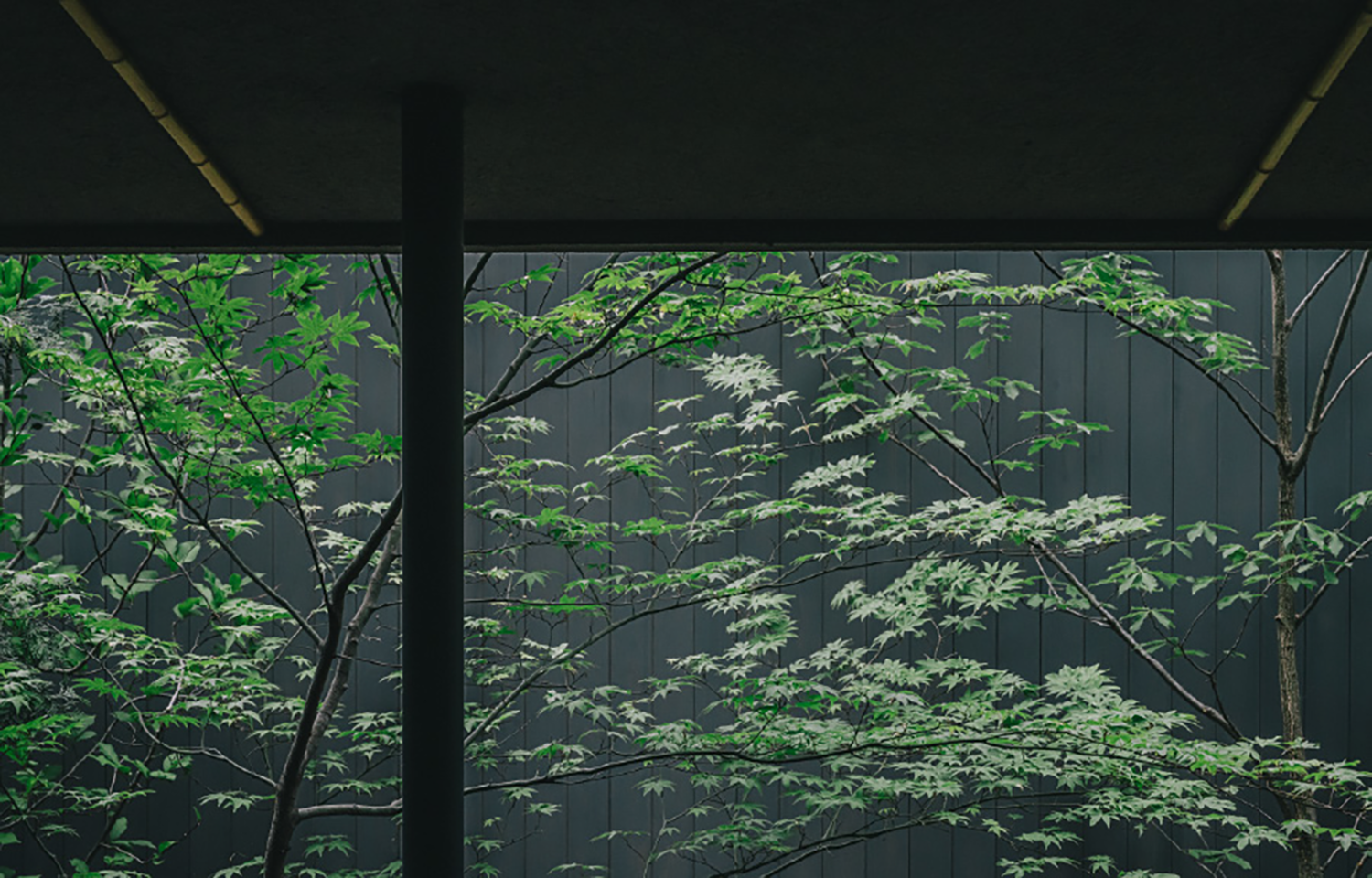 长野之家丨日本长野丨Tomoko Fukayama,熊谷隆-16