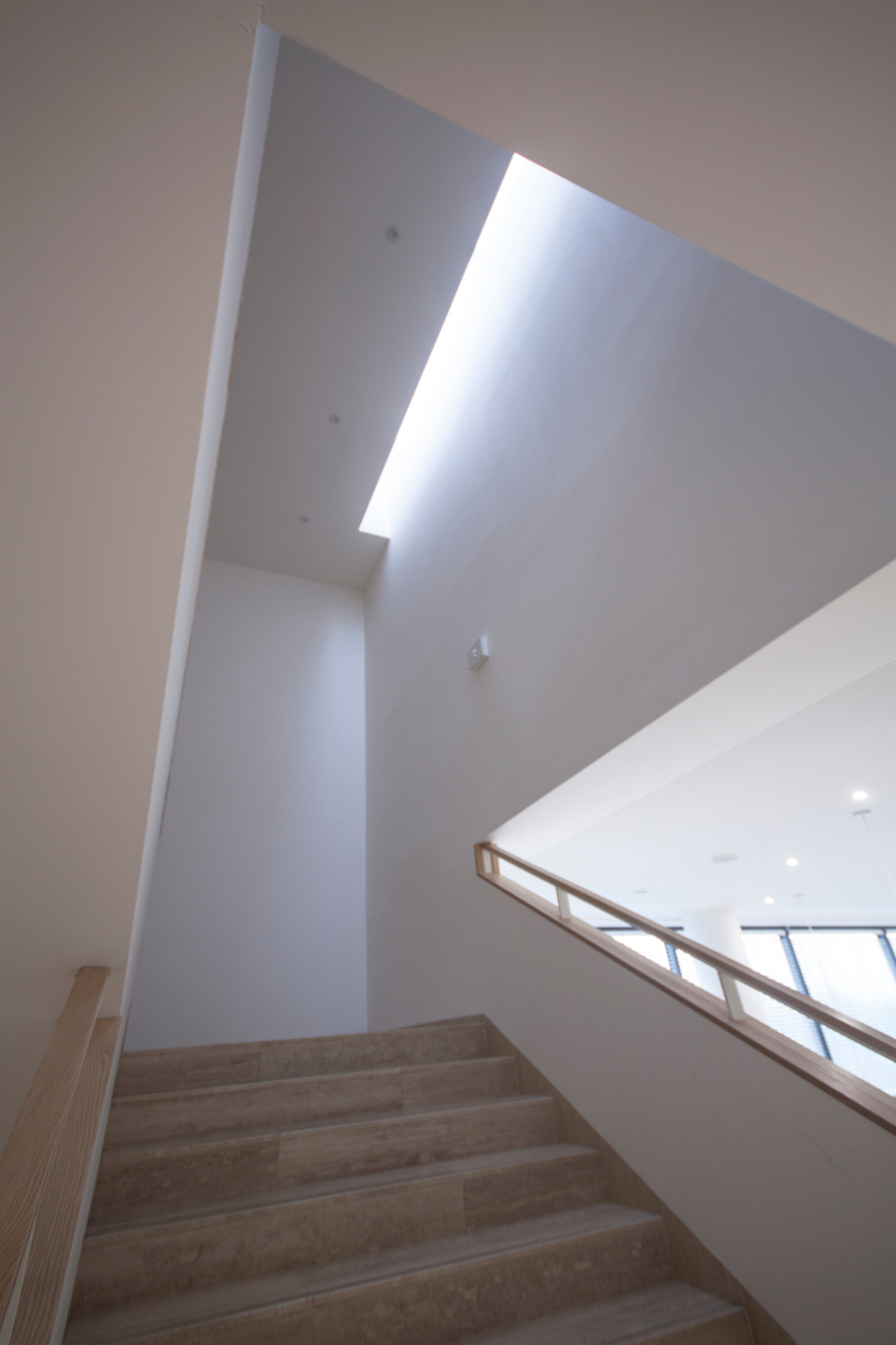      Katalog: majo architekti - Pavilon IMPAKT MFF UK
 |  EARCH.cz-15