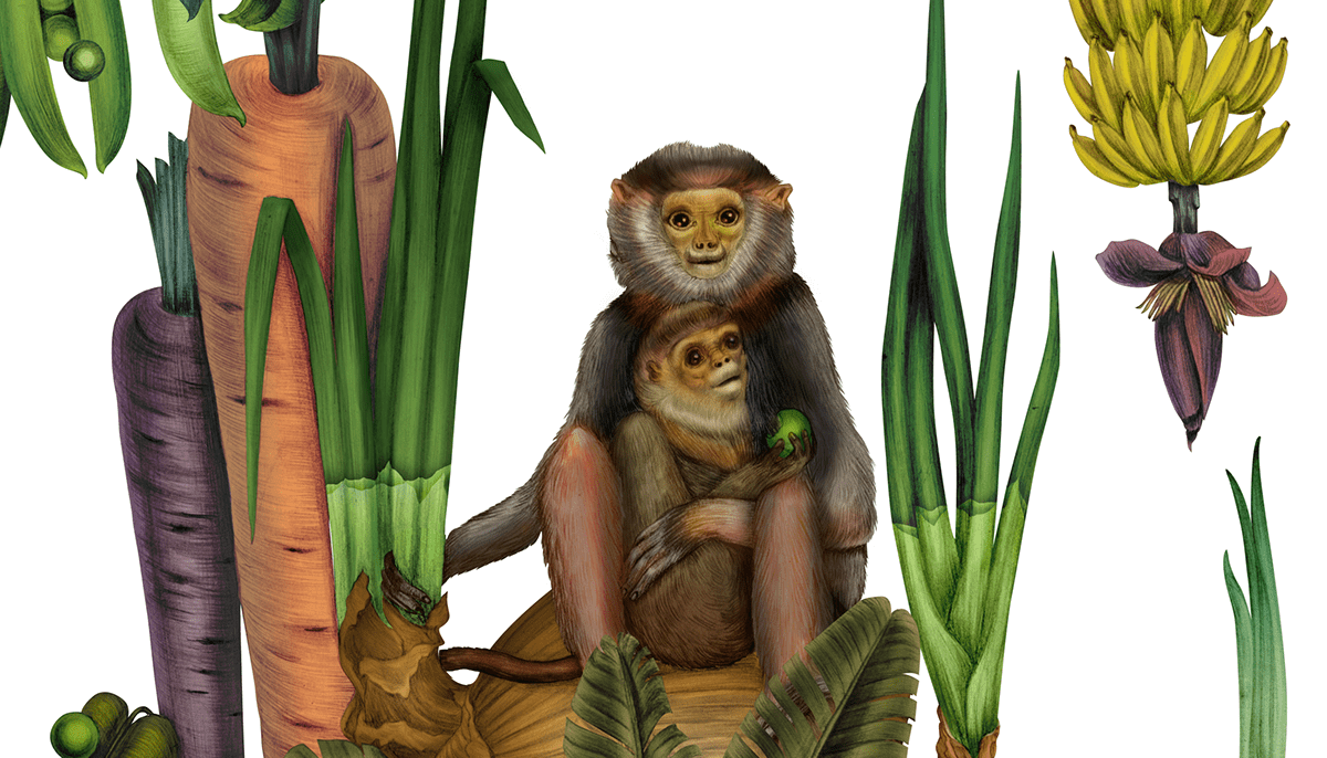 冰岛素食汤吧“SÚPA”-12