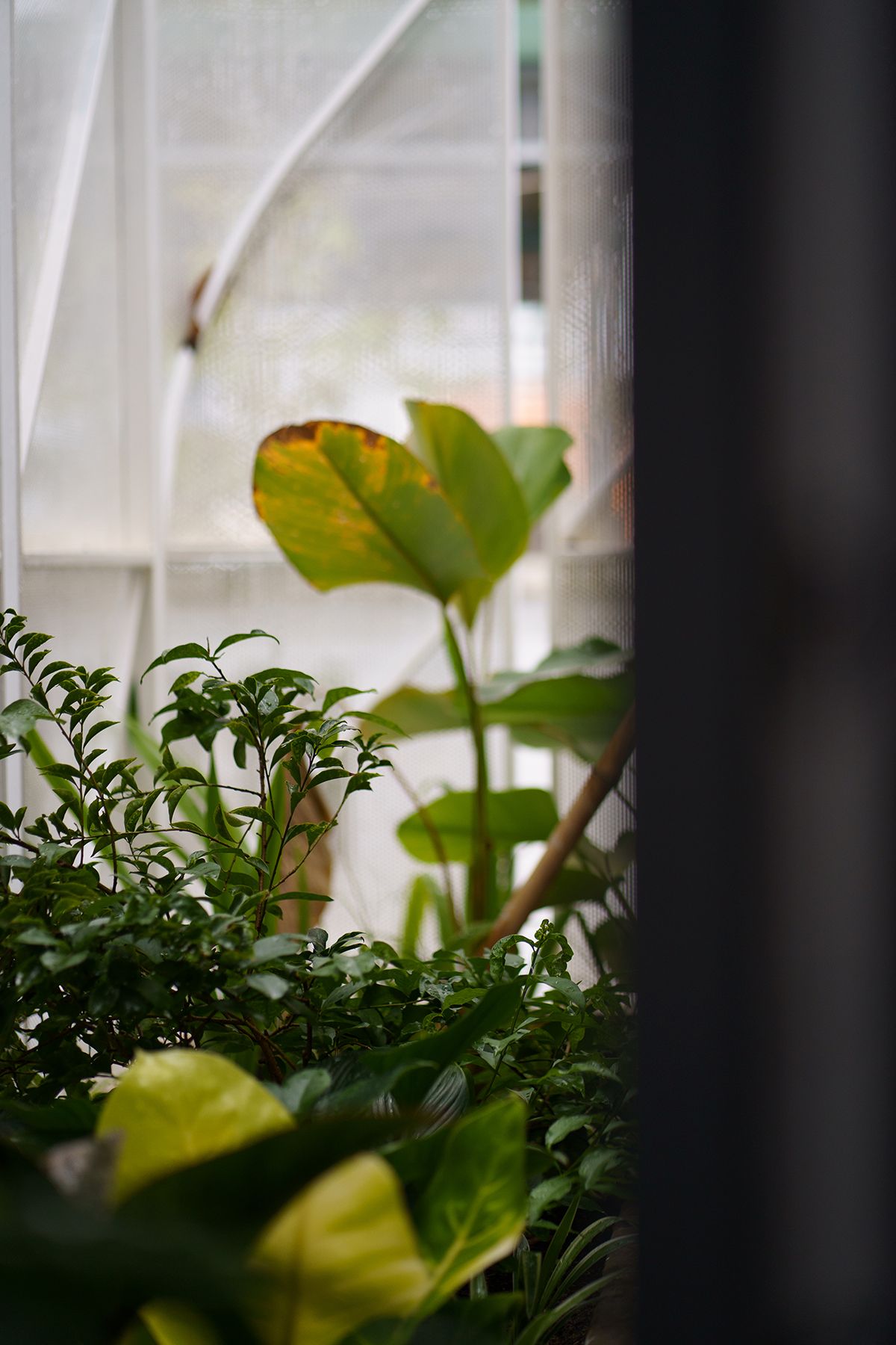 度假风 Soc's House 木质游艇住宅-55