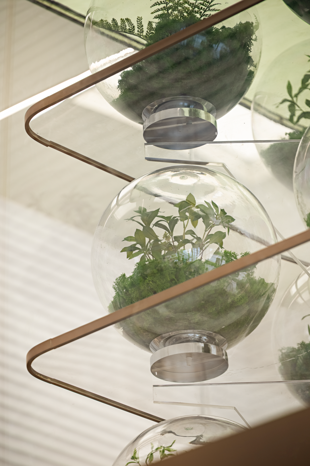 中建东孚春合境明丨中国上海丨赛拉维设计CLV.DESIGN-21