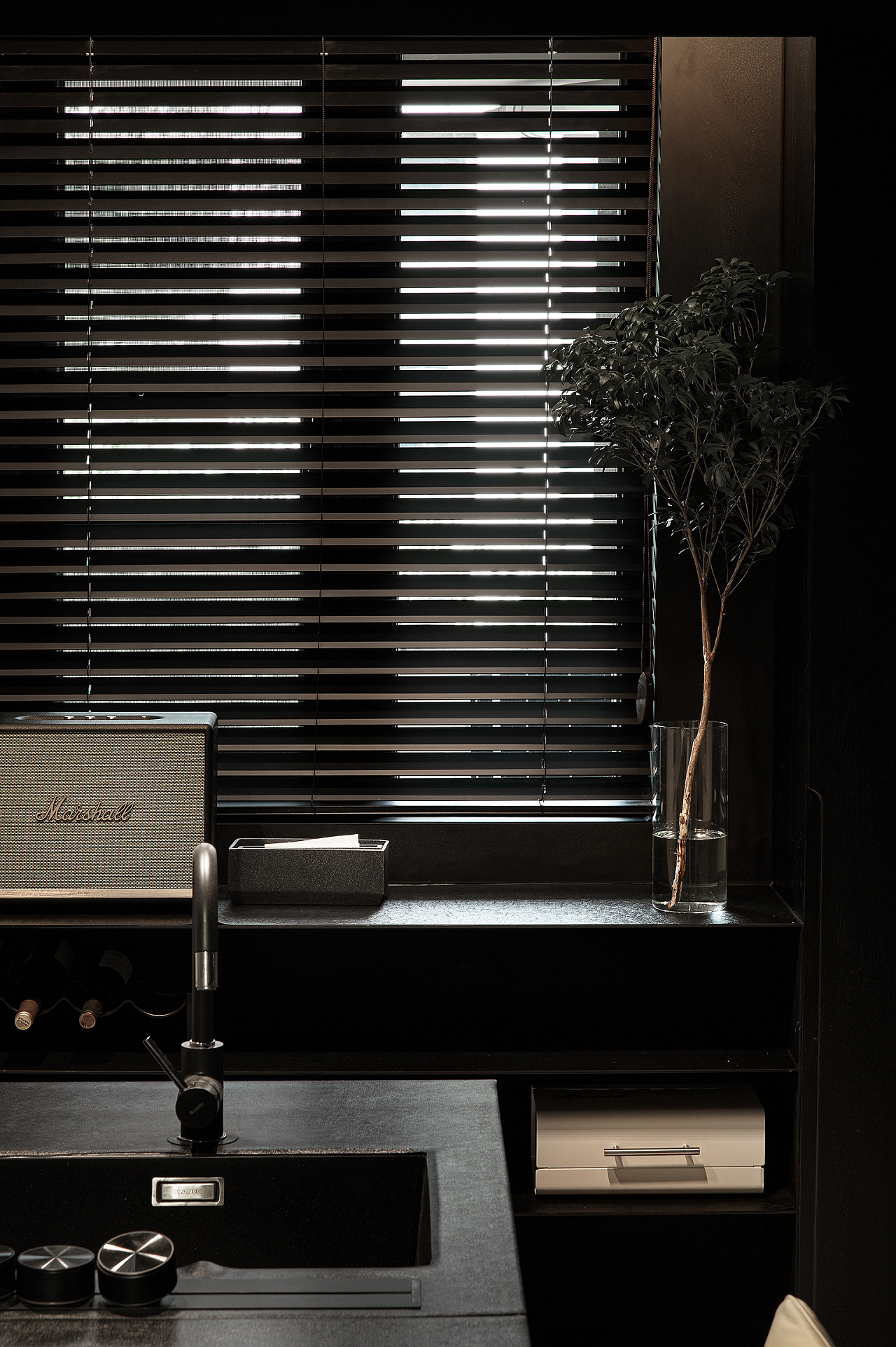 Mr来设计 | 棕榈-12