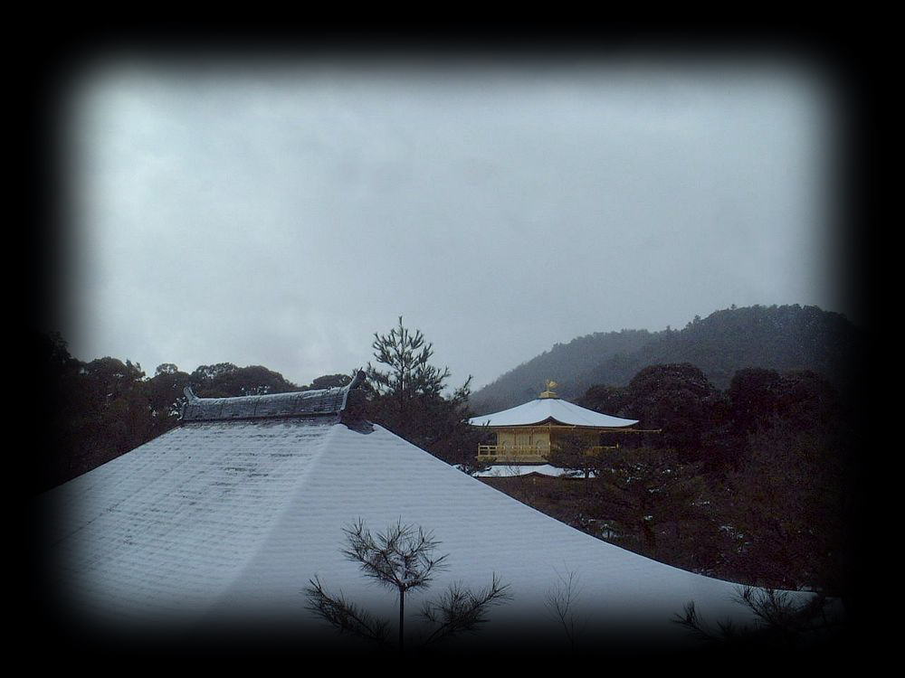 京都金阁寺丨日本京都-27