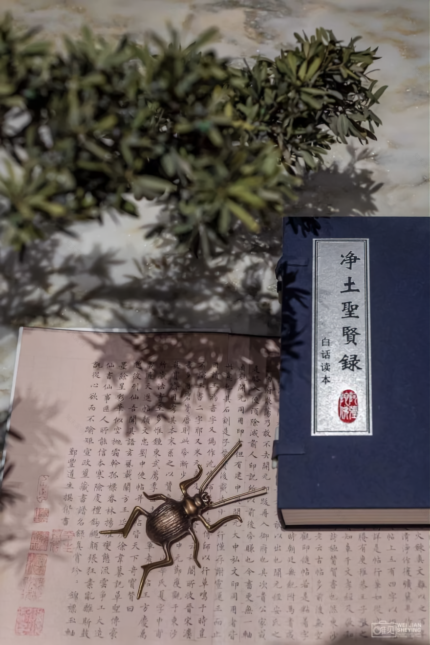 拙政江南丨中国苏州丨W.design 上海无间建筑设计-75