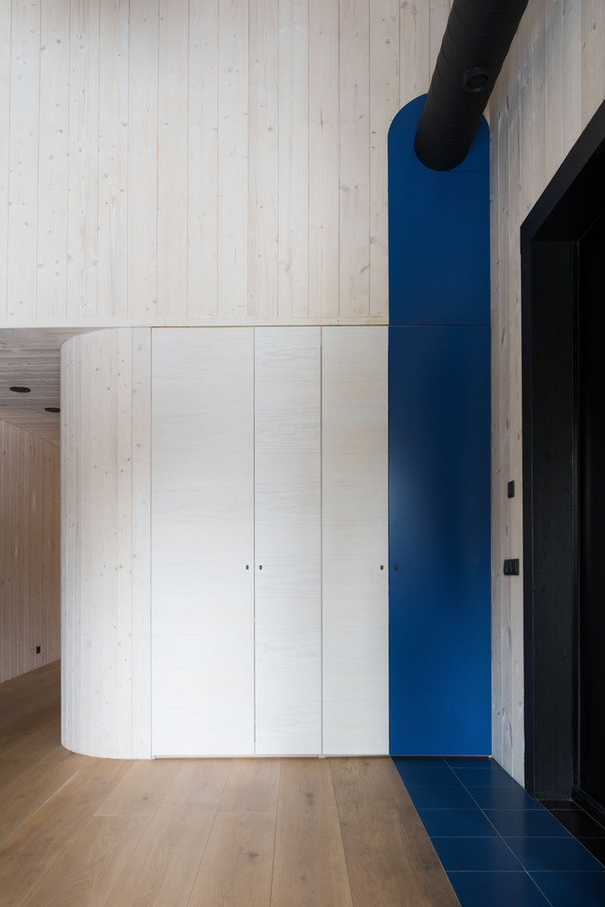 俄罗斯莫斯科 Oblast 老松树环绕的生态家园-64