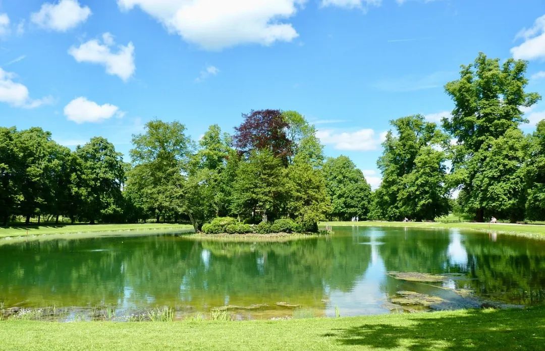 戴安娜王妃的居所丨英国-23