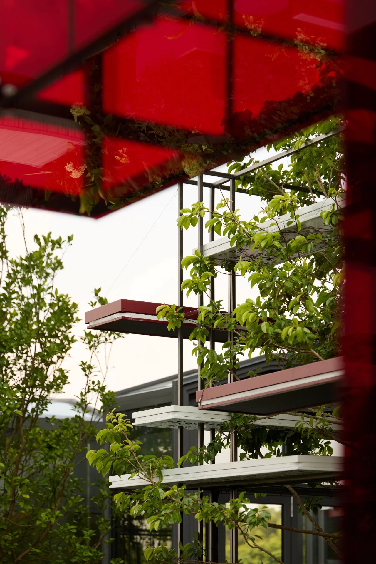 海底捞火锅  东莞松山湖创新店丨中国东莞丨汤物臣•肯文创意集团-82