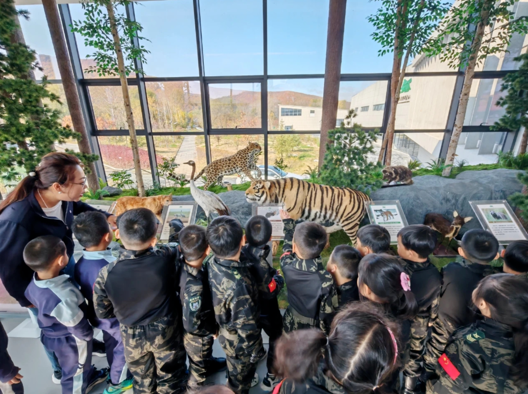 维迈作品|东北虎豹国家公园偷盗猎警示中心亮相新华社及诸多媒体成研学热门！-42
