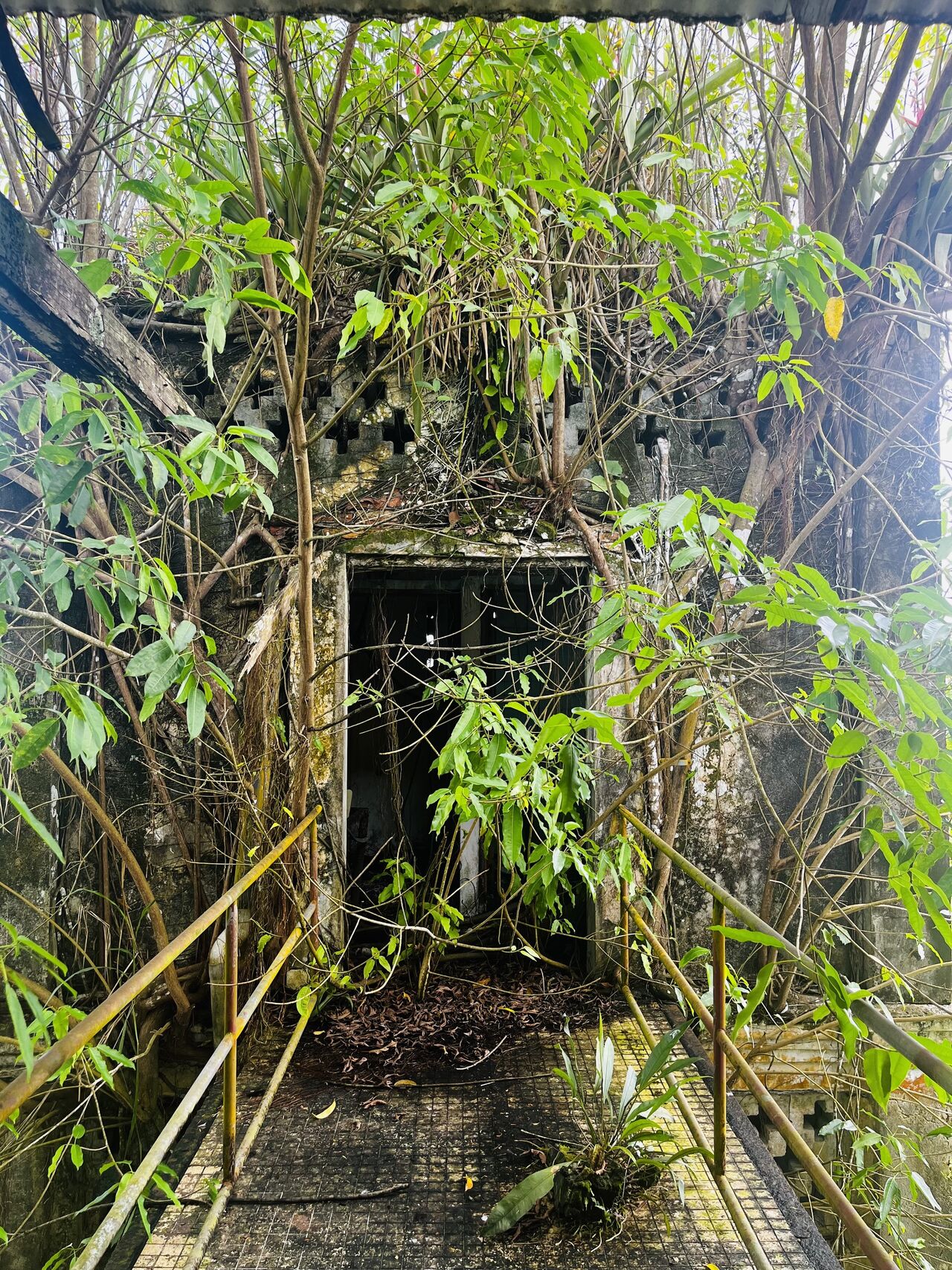 圣洛朗迪马罗尼医院城市规划项目丨Ateliers 2,3,4,与SEGAT联合-10