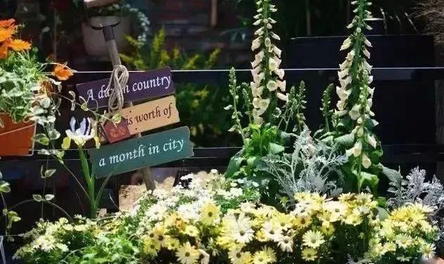 打造孩子喜爱的趣味庭院-9