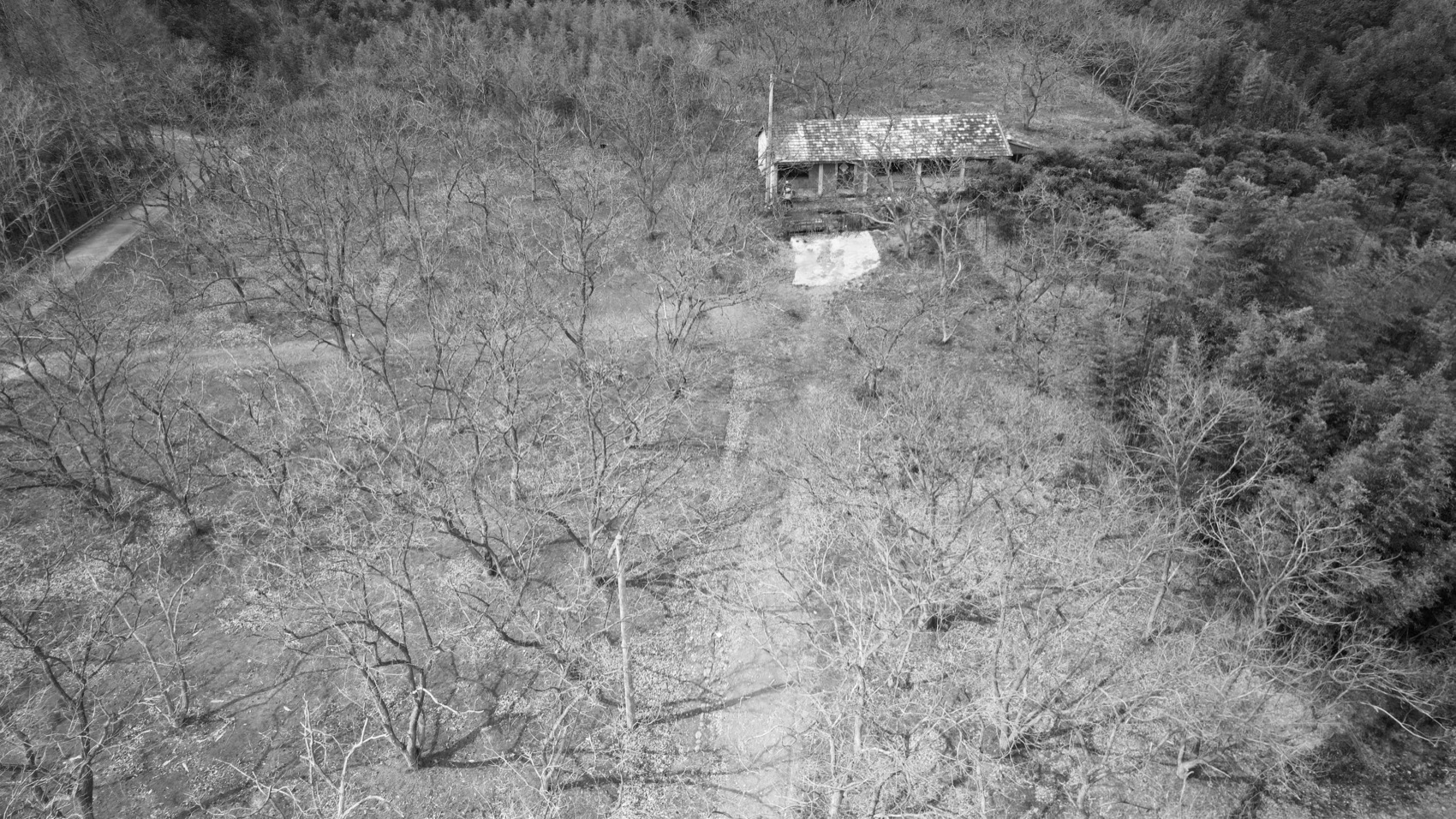 高峰禅寺下的栗林小院丨中国湖州丨平介设计,苏州大学-6