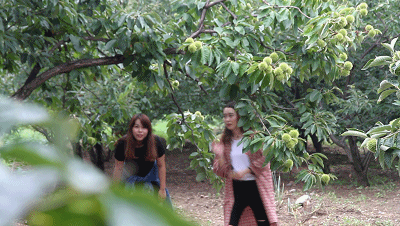 西安“小岳岳”放着豪宅不住,却跑到大山里花费百万爆改四合院,这一次却火爆整个民宿圈-154